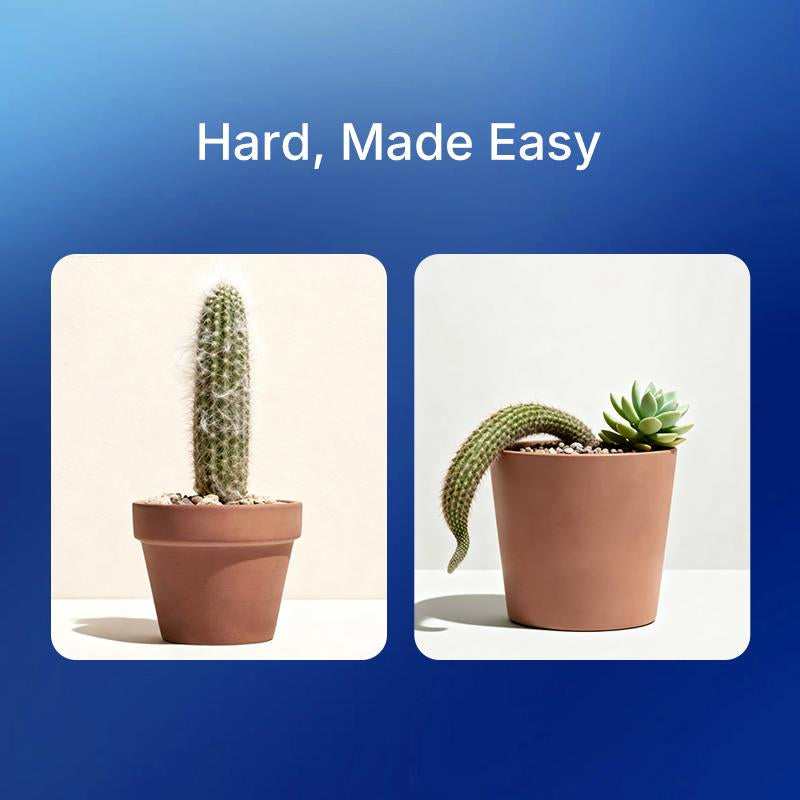 Wonderblue Wideawake Milk Thistle Tumeric & Taurine Capsules for Vitality Energy Detox 60 Veggie Capsules USA Made FDA GMP Supplement